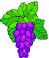 grape cluster